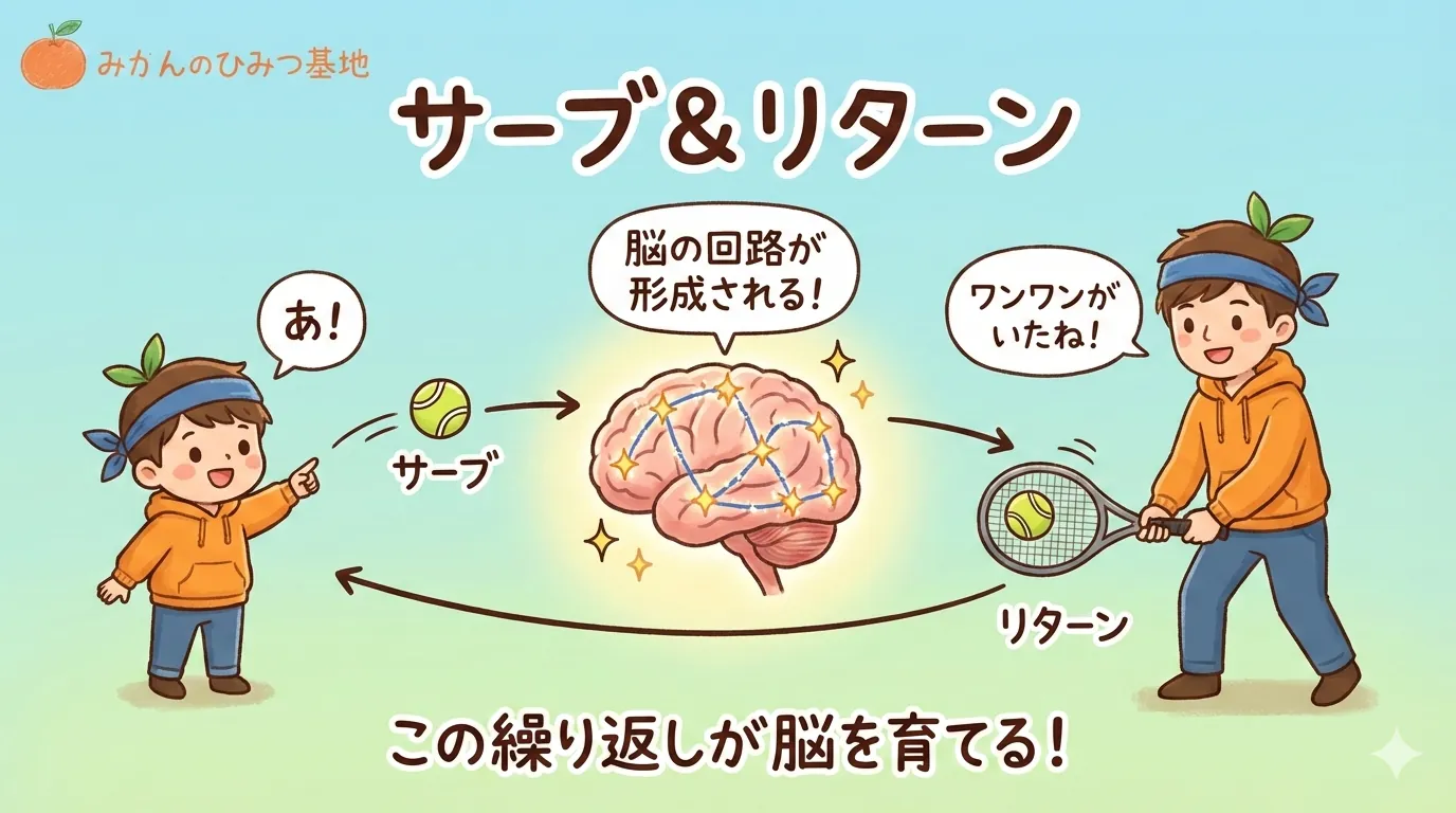 サーブ&リターンのイメージ